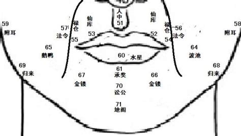 鼻頭有肉|麦玲玲面相讲座之 鼻子 – 人相学